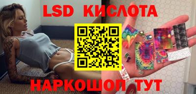 шишки Донской