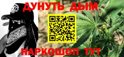 шишки Дубна