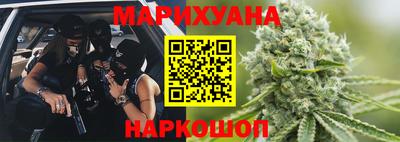 шишки Дубна