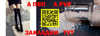 шишки Дубна
