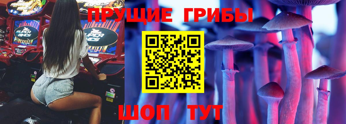Северск  Псилоцибиновые грибы Psilocybine cubensis  Вход с VPN 